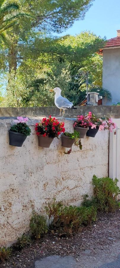 Joli Studio Les Pieds Dans L Eau Avec Place De Parking Gratuite Bandol Zewnętrze zdjęcie